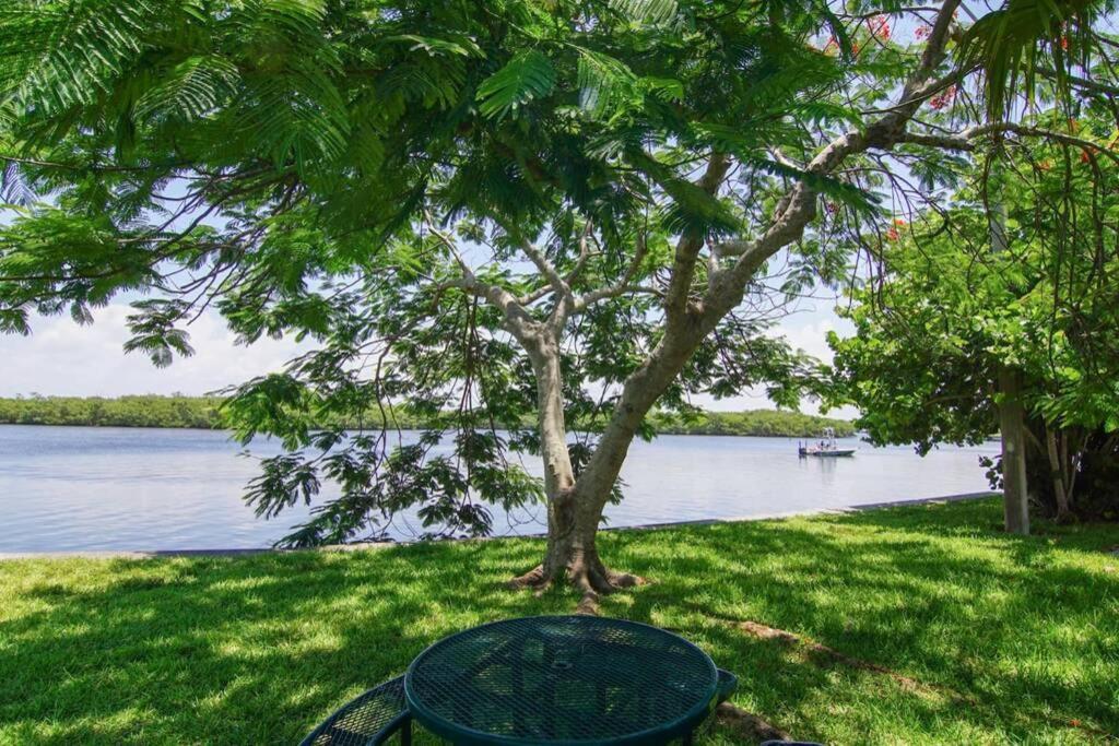River Delight,Studio109, Beach & Pool Steps Away + Wifi Ruskin Eksteriør bilde